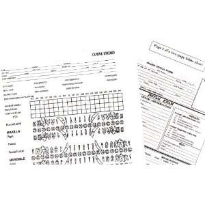 AVDC Canine and Feline Dental Record Charts  Industrial 