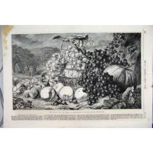  1861 Golden Age Fruit Melon Grapes Beautiful Print