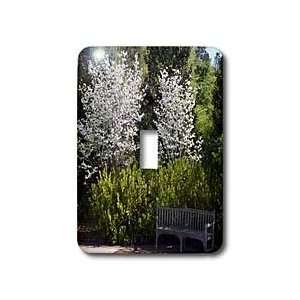   Scenes   Scene with a bench and trees   Light Switch Covers   single
