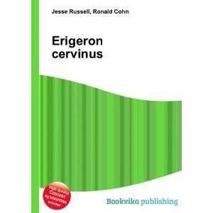  Erigeron cervinus Ronald Cohn Jesse Russell Books