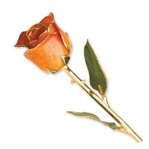  Long Stem Dipped 24K Gold Trim Orange Genuine Rose w/ Gift 