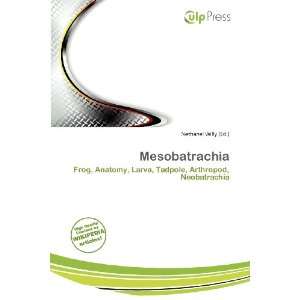  Mesobatrachia (9786136552385) Nethanel Willy Books