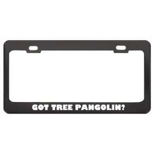 Got Tree Pangolin? Animals Pets Black Metal License Plate Frame Holder 
