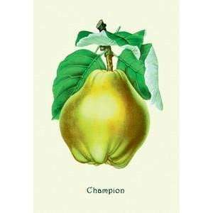 Vintage Art Champion Pears   04167 6
