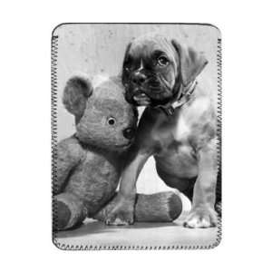  A Teddy Bear and a Puppy   iPad Cover (Protective Sleeve 