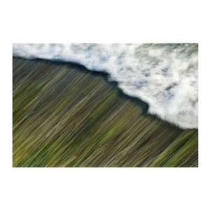  White Waves Giclee Poster Print by Angela Cameron, 34x24 