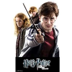  Harry, Hermione and Ron Walljammer Toys & Games