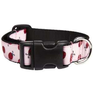  Lola & Foxy Ladybug Collar