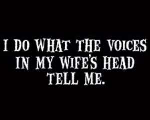 AKA Voices in My Wifes Head Tell Me Funny T shirt  