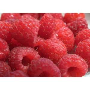   Fresh Raspberry E juice E liquid 24mg 80%VG 20%PG 