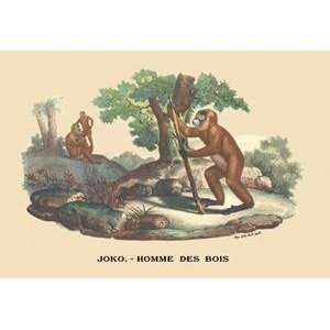  Vintage Art Joko   Homme des Bois (Monkey)   08900 8