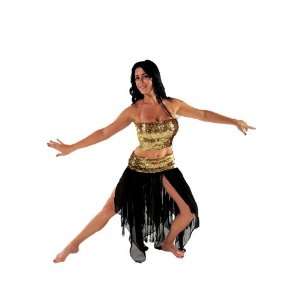 Belly Dancer Costume Set  Chiffon Skirt  Sequined Top & Hip Scarf 