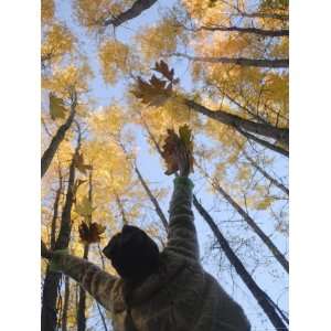 com Girl Throws Leaves in the Air to Celebrate Autumn, Vashon Island 