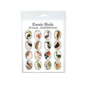  25mm Oval Exotic Birds Collage Sheet Arts, Crafts 