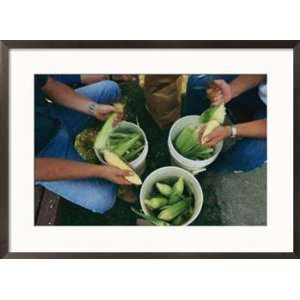  A family shucks sweet corn on their family farm Framed Art 