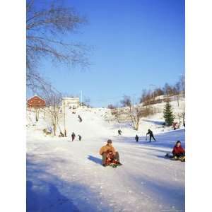  Sledging for Fun, Near Oslo, Norway, Scandinavia Stretched 