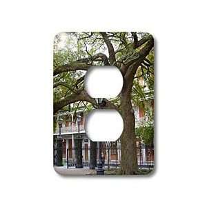  Florene Architecture   Historic New Orleans   Light Switch 
