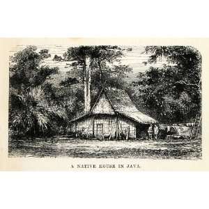 1879 Wood Engraving Java Indonesia Native House Home Indigenous People 
