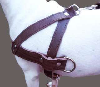 Pulling Leather Dog Harness 1.5 wide 25.5 31  