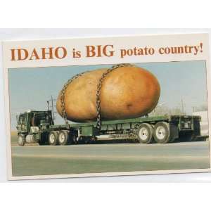 Post Card IDAHO IS BIG POTATO COUNTRY Artist by Tim Brinton, Great 