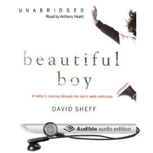   Meth Addiction (Audible Audio Edition) David Sheff, Anthony Heald