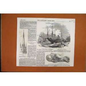  1882 Hms Triumph Captain Markham Text Fatal Explosion 