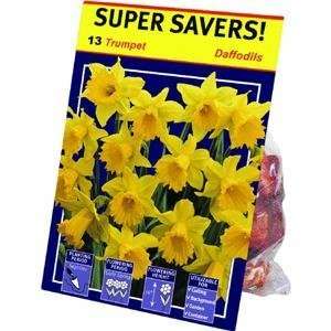  TotalGreen 72415100 Daffodil Bulbs Patio, Lawn & Garden