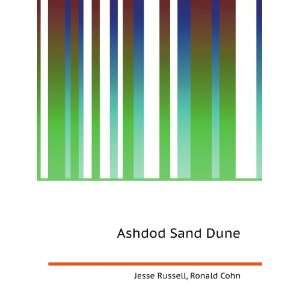 Ashdod Sand Dune Ronald Cohn Jesse Russell  Books