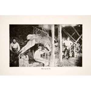  1890 Print Shoeing Ox Harness Farrier Farm Costa Rica 
