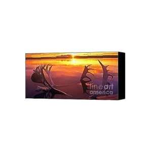 940000010 panoramic caribou antlers whitefish lake northwest ter 