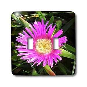   flower, flowers, ice plant, marigold   Light Switch Covers   double