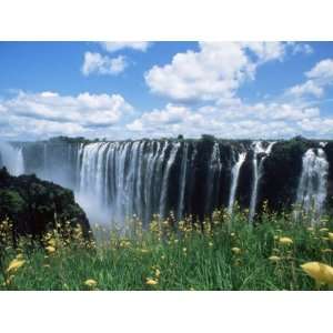  Flowers in Bloom with the Victoria Falls Behind, Unesco 