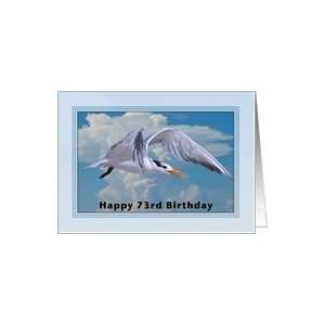 Happy Birthday, 73rd, Royal Tern Bird Card Toys & Games