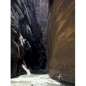  Hikers in Zion Narrows, Zion National Park, UT, USA 