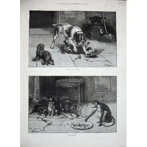   1884 Dadd Fine Art Puppy Dog Monkey Plate Food Print