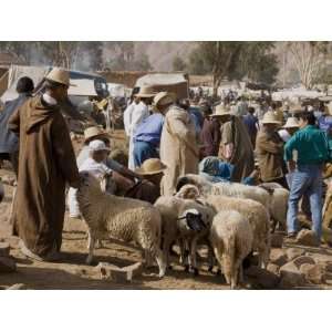 Weekly Market, Tahanoute, High Atlas Mountains, Morocco, North Africa 
