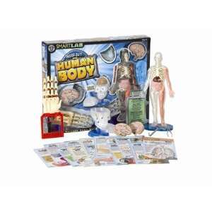    Smart Labs 5511630 Inside Out The Human Body Kit 