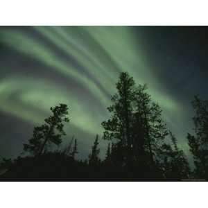 Brilliant Display of Aurorae in the Yukon Territory Photographic 
