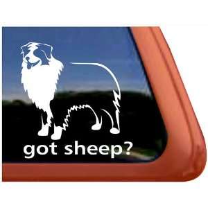  Got Sheep? Australian Shepherd Dog Vinyl Window Decal 