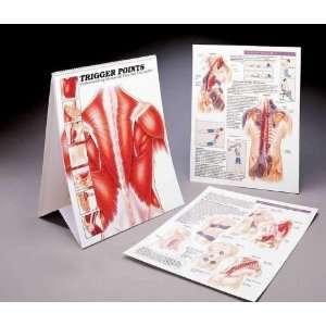  Pressure Positive Trigger Point Training Book Health 