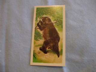 BROOKE BOND TEA CARDSPREHISTORIC ANIMALS 1972 BUY INDIVIDUALLY NOs 