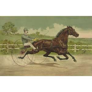   grand trotting stallion Axtell by William L. by George Wilkes 24 X 16