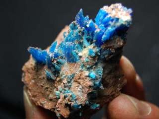 All Natural Blue Chalcanthite on Matrix, Planet Mine, AZ CHA146 