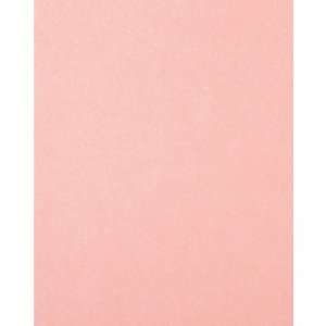  Coredinations Pearl Cardstock 8.5X11 Baby Pink