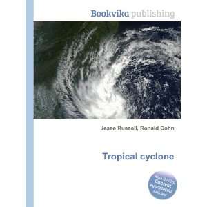 Tropical cyclone [Paperback]