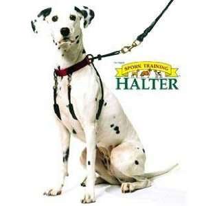  Sporn Training Dog Halter   Large