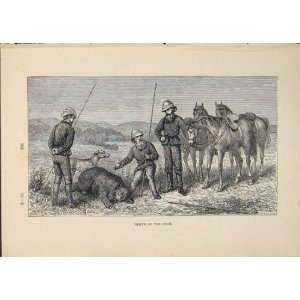  Bear Bears Horse Horses Hunt Hunted Hunting Old Print 