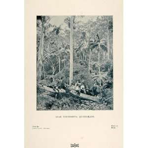  1901 Print Landscape Toowoomba Queensland Australia 