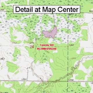  USGS Topographic Quadrangle Map   Toivola SW, Minnesota 