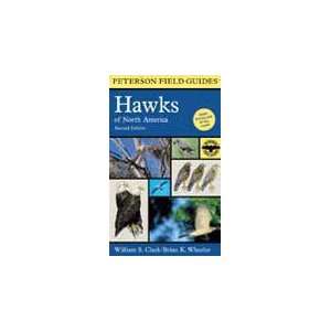  Peterson Books Hawks Includes All 39 Species Of North American Hawks 